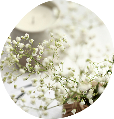 かすみ草